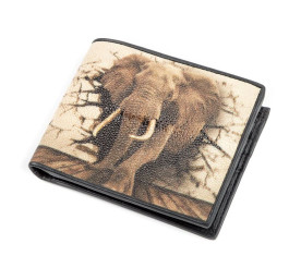 Мужской кошелек из кожи ската STINGRAY LEATHER