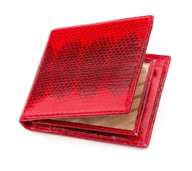 Женский кошелек SEA SNAKE LEATHER из кожи морской змеи