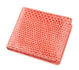 Женский кошелек SEA SNAKE LEATHER из кожи морской змеи