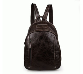 Кожаный рюкзак 7306C Buffalo Bags коричневый
